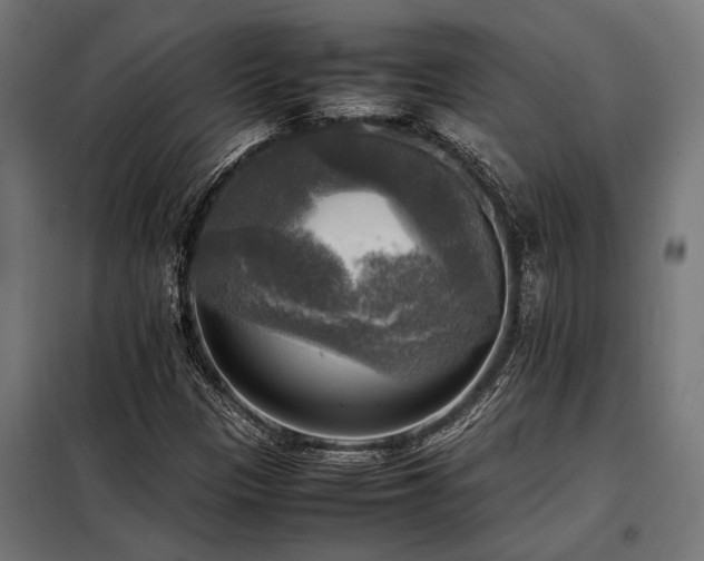 X0000098191305200804241235
