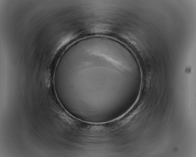 X0000098191306200804241235