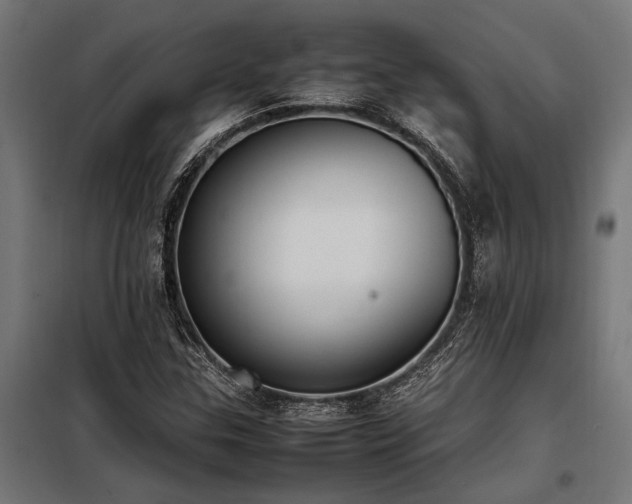 X0000098191307200804241235
