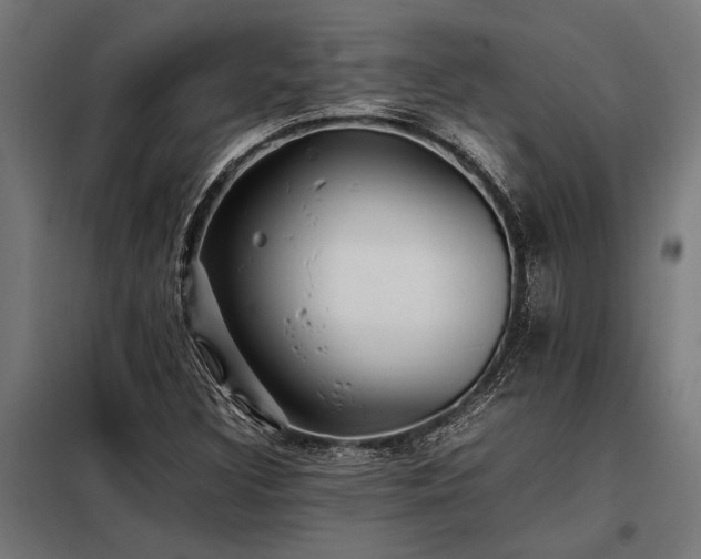 X0000098191308200804241235