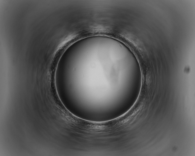 X0000098191309200804241235