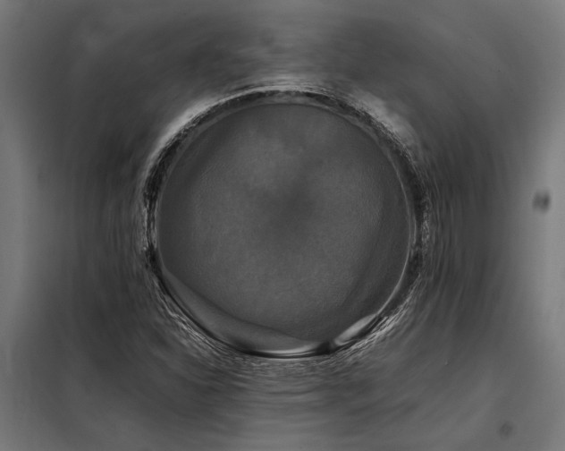 X0000098191310200804241235
