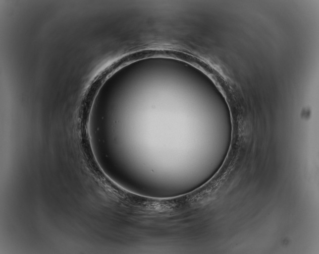 X0000098191311200804241235