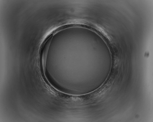 X0000098191312200804241235