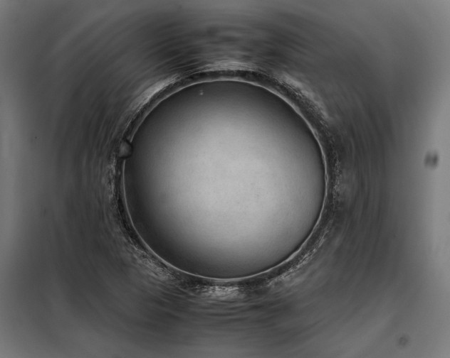 X0000098191313200804241235
