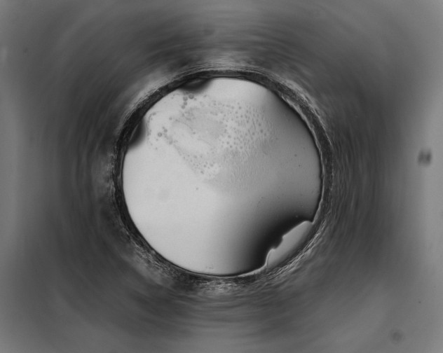 X0000098191314200804241235