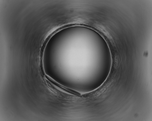 X0000098191316200804241235