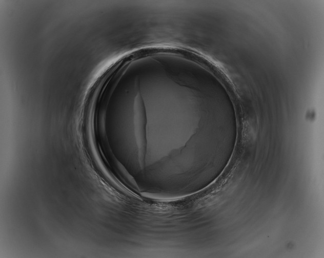 X0000098191319200804241235