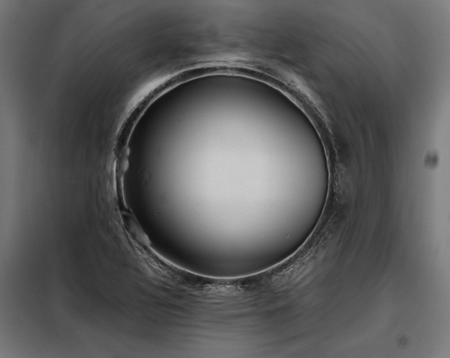 X0000098191320200804241235