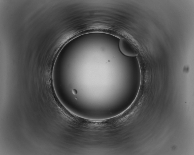 X0000098191321200804241235