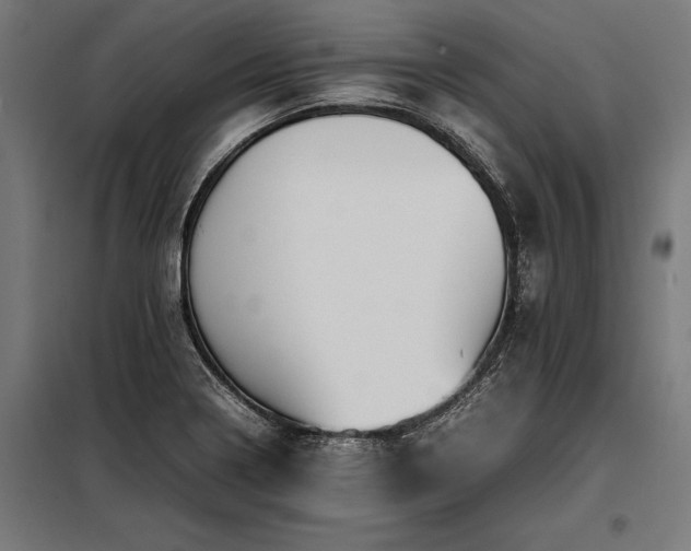 X0000098191322200804241235
