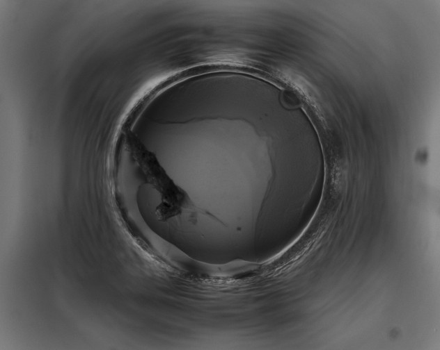 X0000098191323200804241235