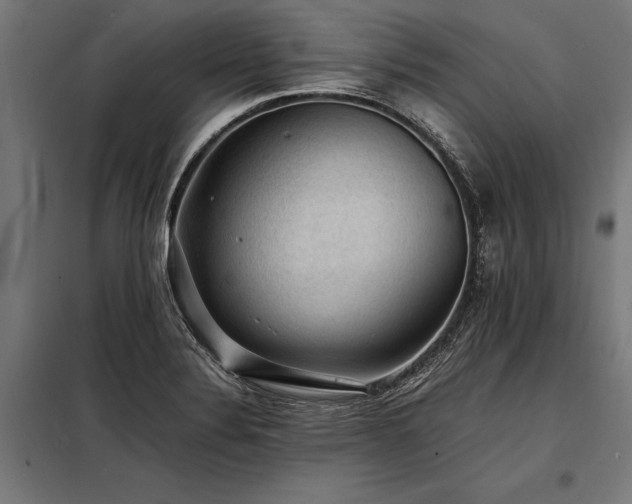 X0000098191324200804241235