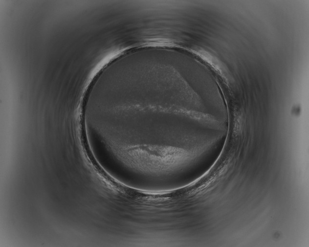 X0000098191325200804241235