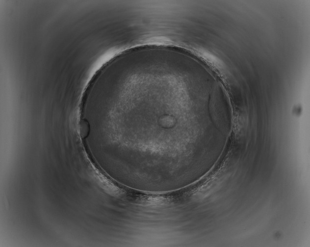 X0000098191326200804241235