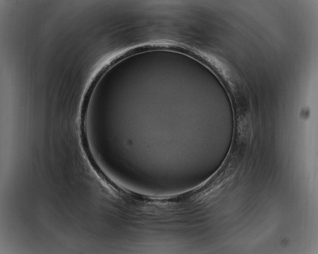 X0000098191327200804241235