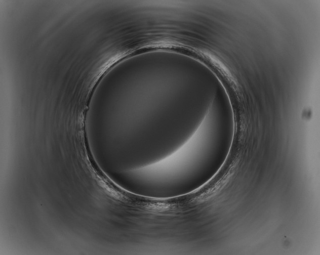X0000098191329200804241235