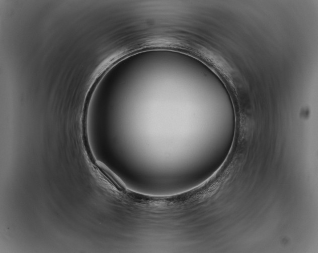 X0000098191330200804241235