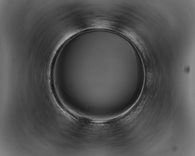 X0000098191331200804241235