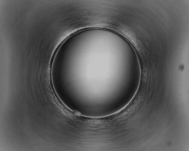 X0000098191332200804241235