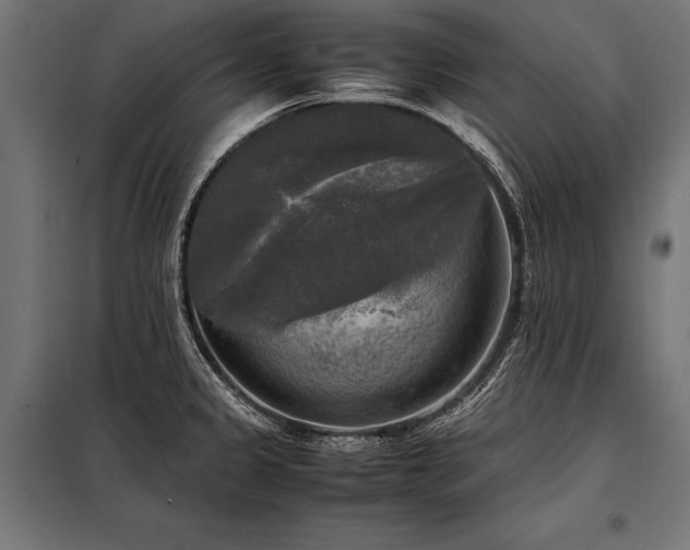 X0000098191333200804241235