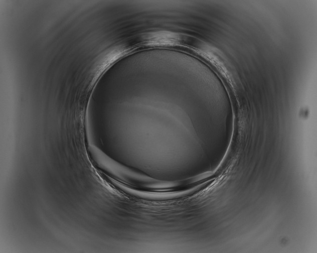 X0000098191337200804241235