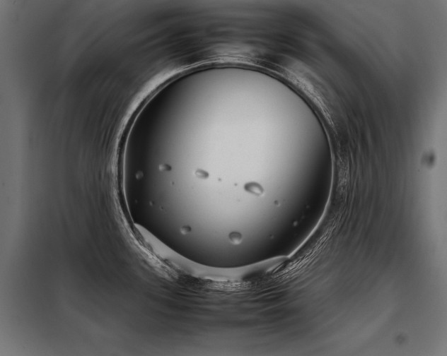 X0000098191339200804241235