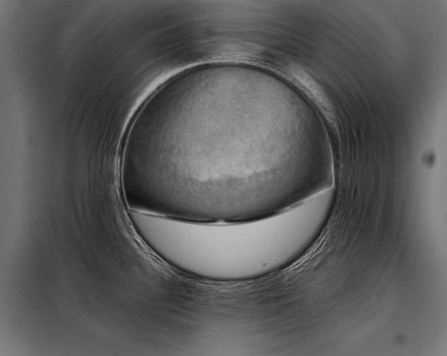 X0000098191340200804241235