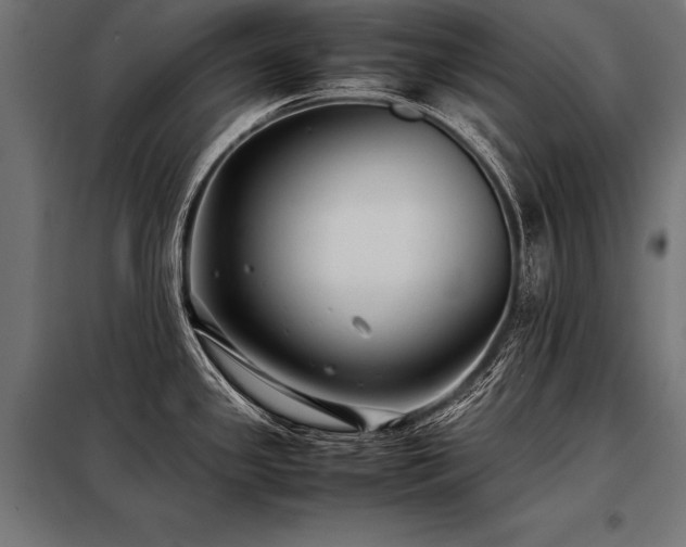 X0000098191341200804241235