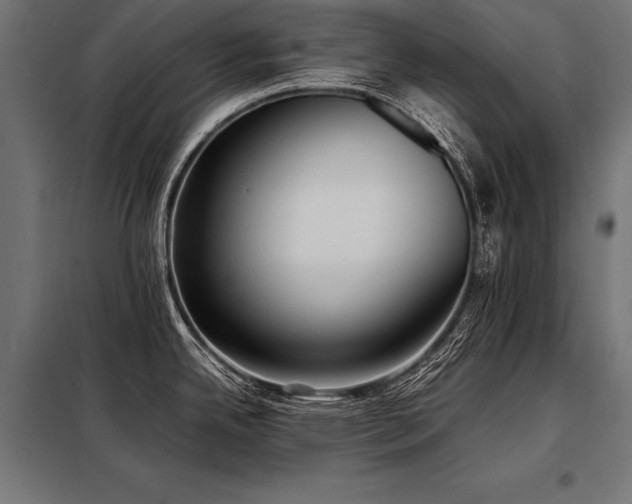 X0000098191342200804241236