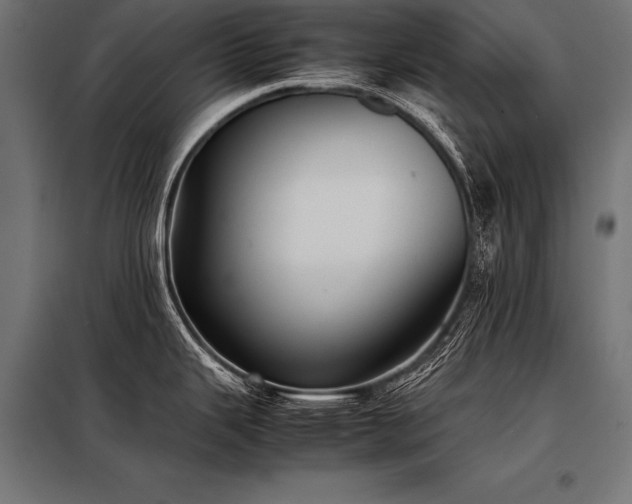 X0000098191343200804241236