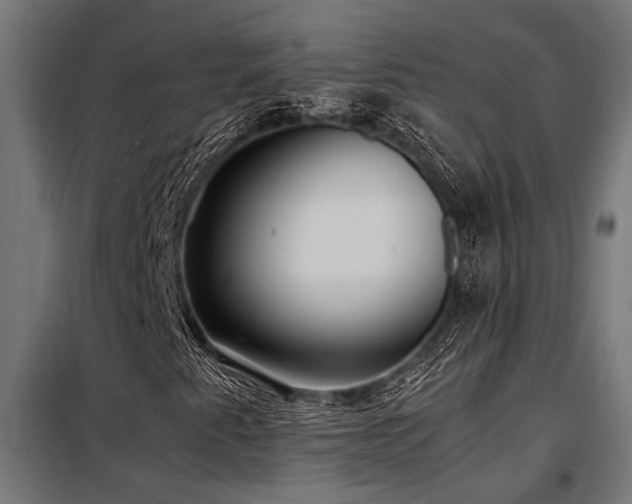 X0000098191345200804241235