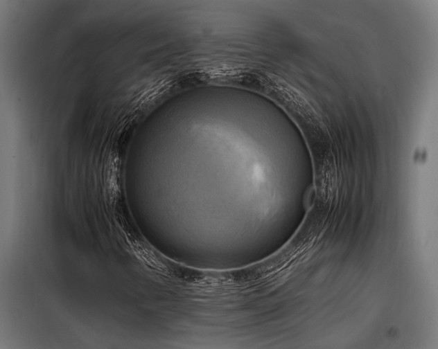X0000098191346200804241235