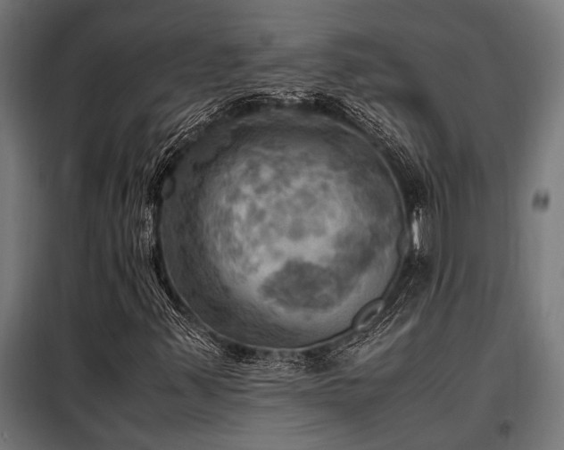 X0000098191347200804241235