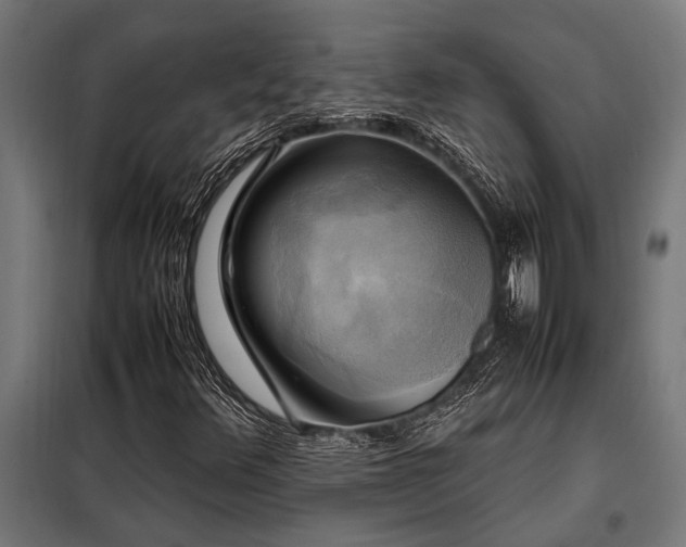 X0000098191348200804241235