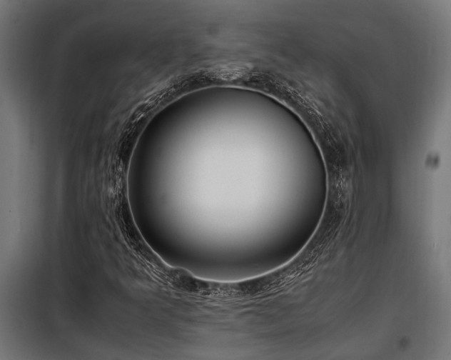 X0000098191349200804241235