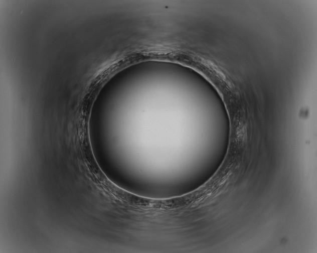 X0000098191350200804241235