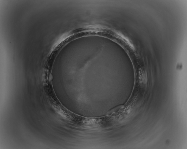 X0000098191352200804241235