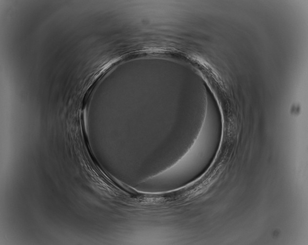 X0000098191353200804241235