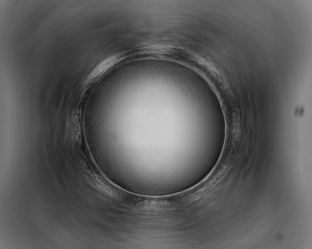 X0000098191354200804241235
