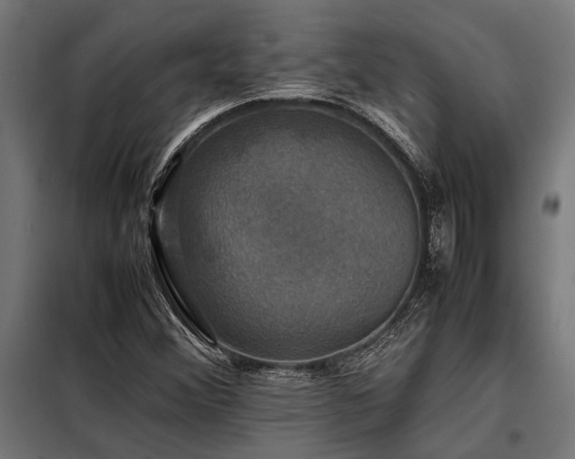 X0000098191356200804241235
