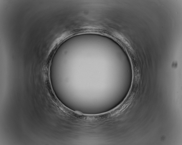 X0000098191357200804241235