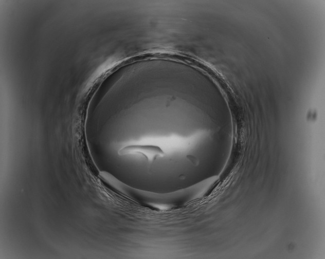 X0000098191359200804241234