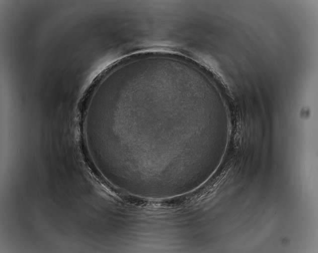 X0000098191360200804241234