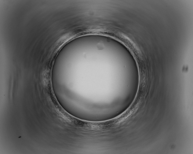 X0000098191361200804241234