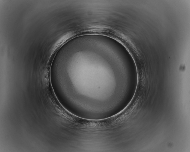 X0000098191362200804241234