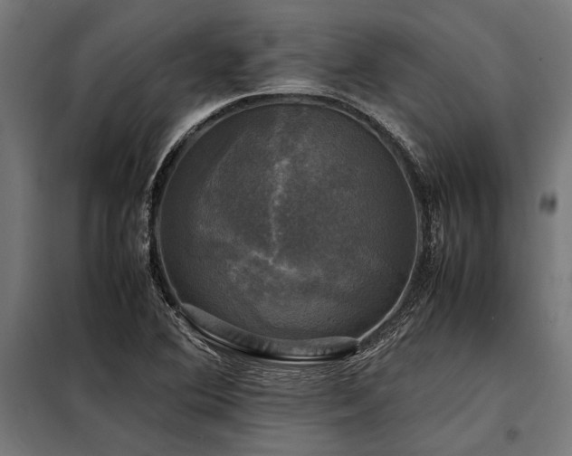 X0000098191364200804241234