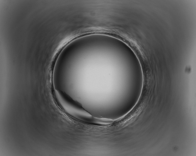 X0000098191365200804241234