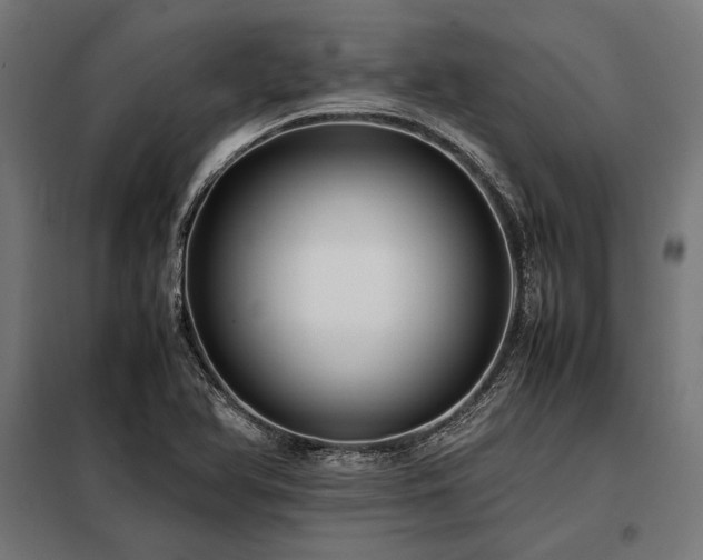X0000098191366200804241234