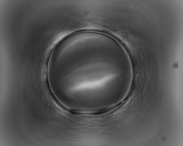 X0000098191367200804241234